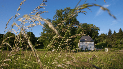 Affordable and High-Quality: Where to Find the Best Gartenhaus Deals