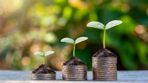 Golden Matka Sagar: Where Dreams Set Sail